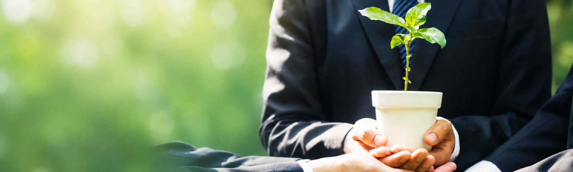 Board Approved CSR Projects
