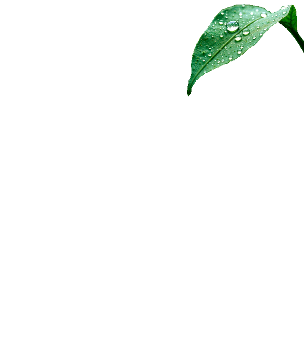 drop